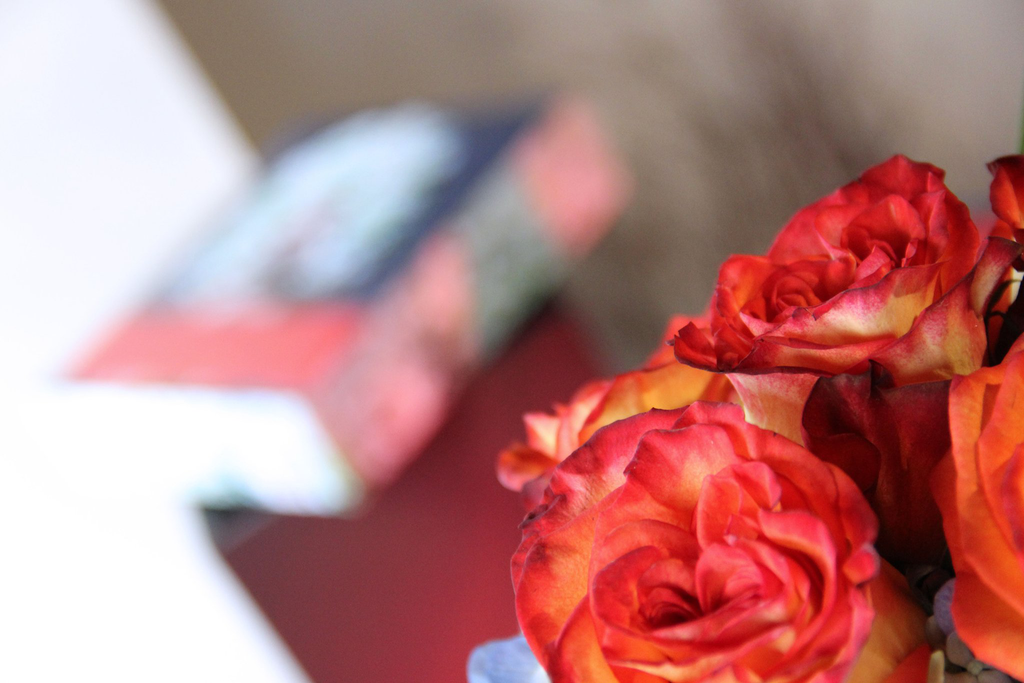 Point of view of Alain Simon's flower shop 